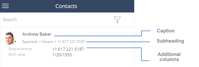 Fig. 1 The Contacts section list record in mobile application