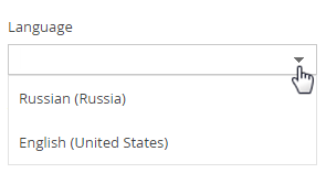 change_language_ENU.png